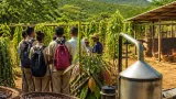 Des lycéens mahorais découvrent les filières agricoles du nord de Madagascar