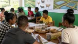 Menabe : 73 jeunes formés pour créer ou développer leur activité rurale