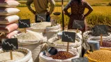 À Madagascar, le recul du prix du riz soulage les ménages mais fragilise les producteurs